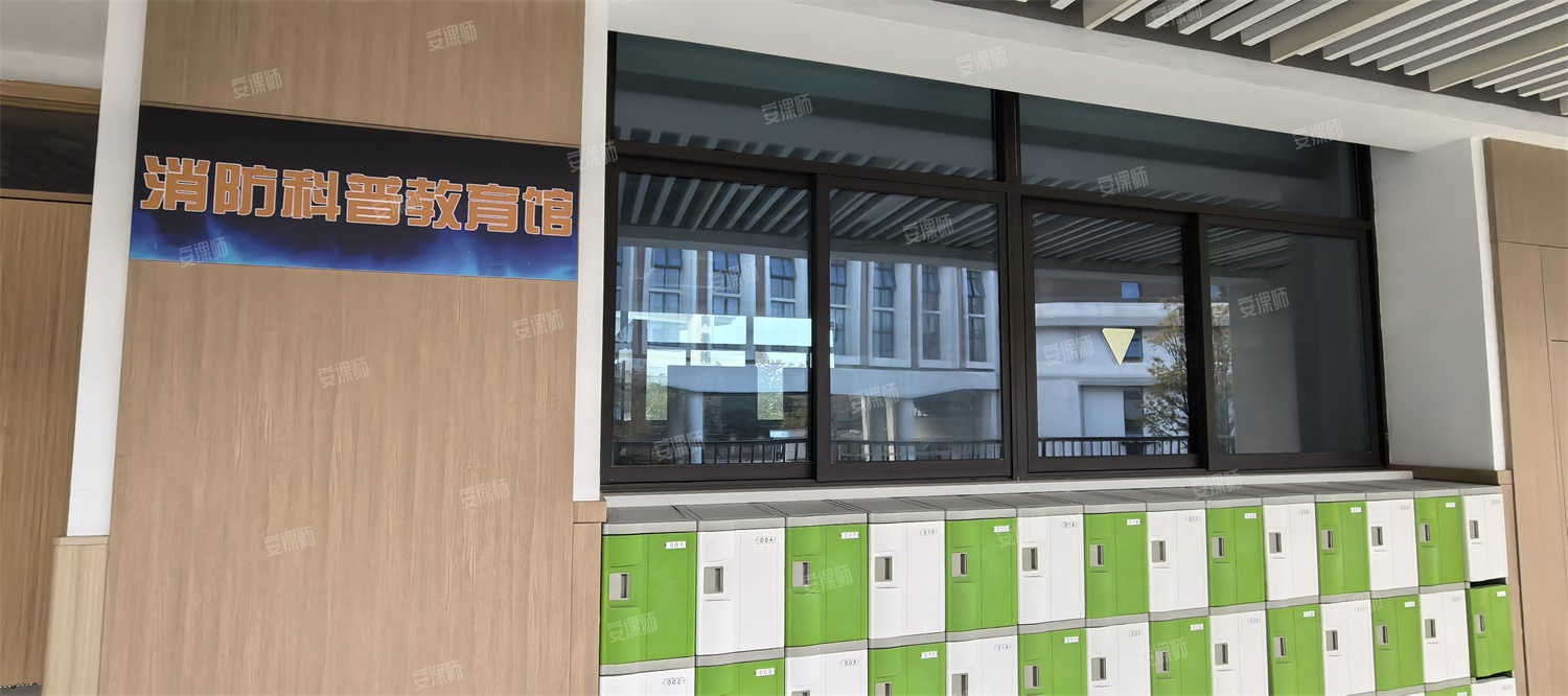 IMG_20241114_161101.jpg IMG_20241114_161101.jpg